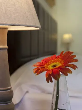 Sibsbcn- Rambla- Family Friends Business * Barcelona