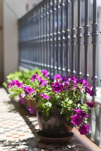 Apartment Sibsbcn- Rambla- Family Friends Business *