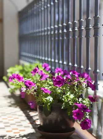 Apartment Sibsbcn- Rambla- Family Friends Business *